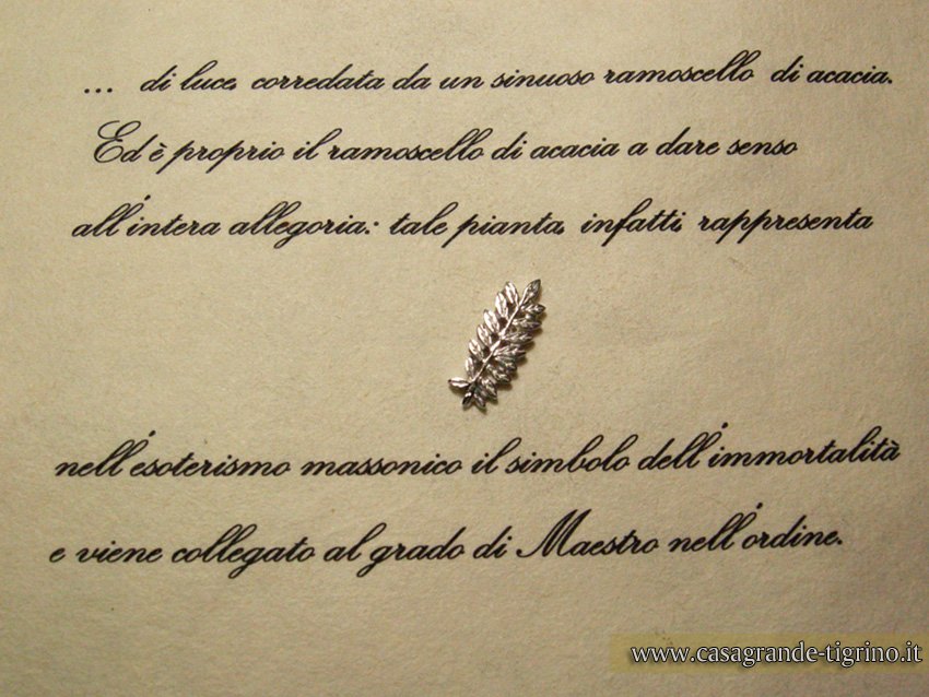 acacia_spilla_massonica_oro_bianco_gioielli_massonici_marco_casagrande_orafo_bologna (6)