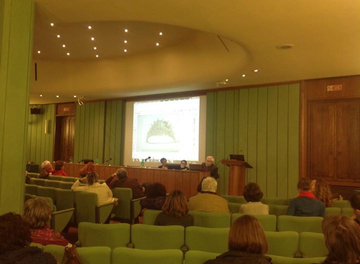 marco_casagrande_conferenza_archeologica_fibula_verrucchio_ambra_scimmiette_2